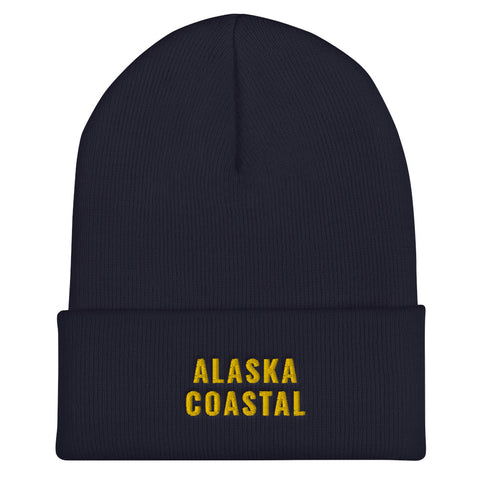 Alaska Coastal Beanie